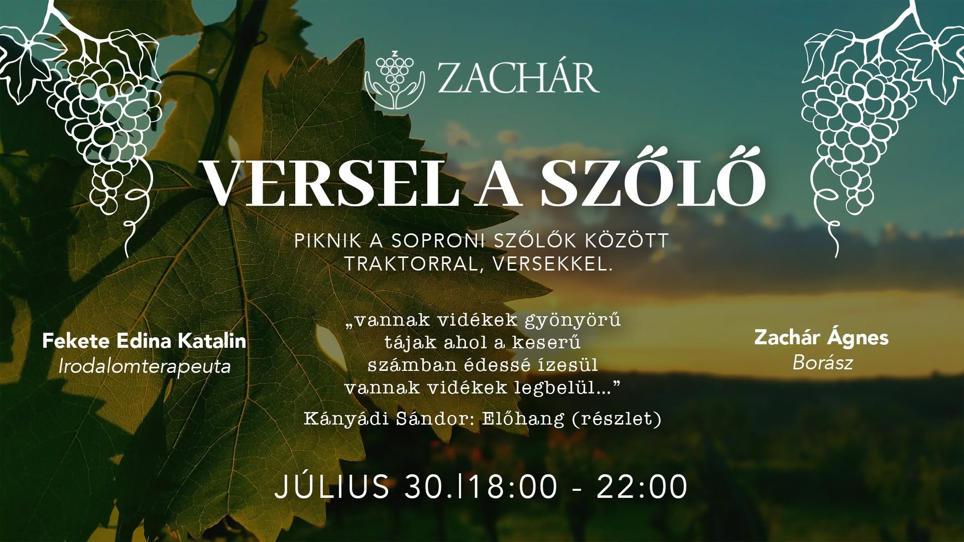 Versel a szőlő - borpiknik